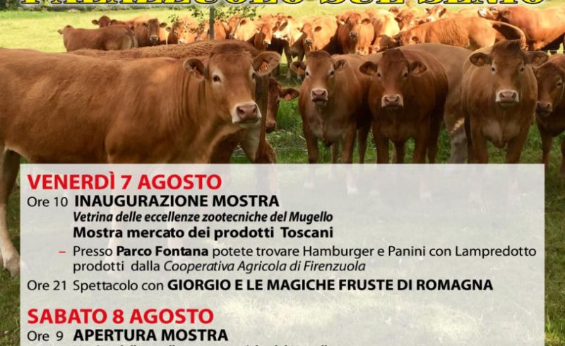 fiera agricoltura palazzuolo
