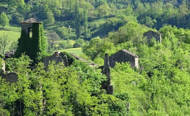 118480308_3161650617204866_3976494971702840321_o