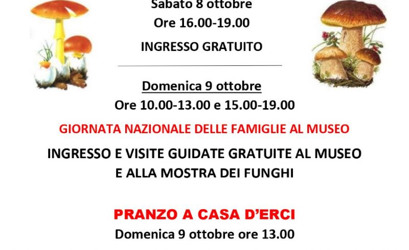 Locandina 20° mostra dei funghi_page-0001