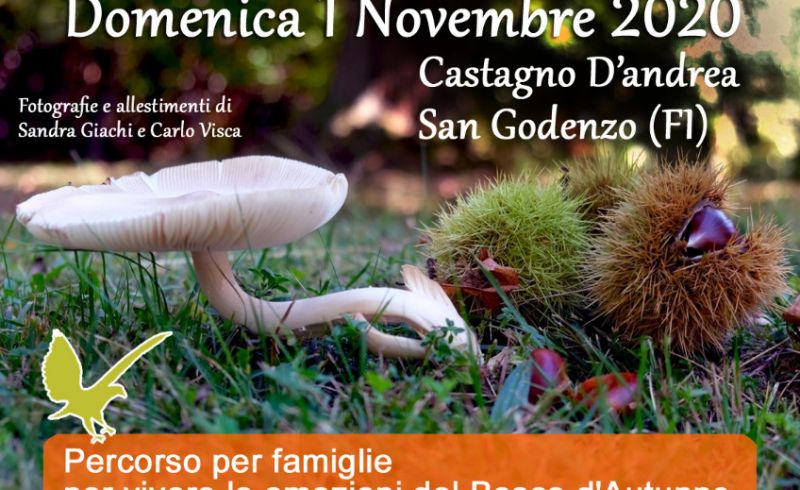 chisinasconde1novembre