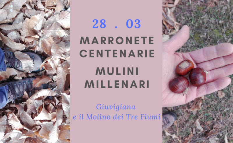 Marronete centenarie_FB