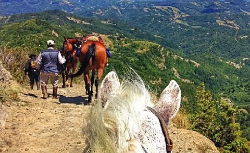 IMMAGINE PER RADUNO EQUESTRE 2-4 LUGLIO