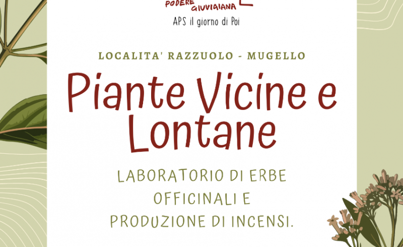 PIANTE VICINE E LONTANE