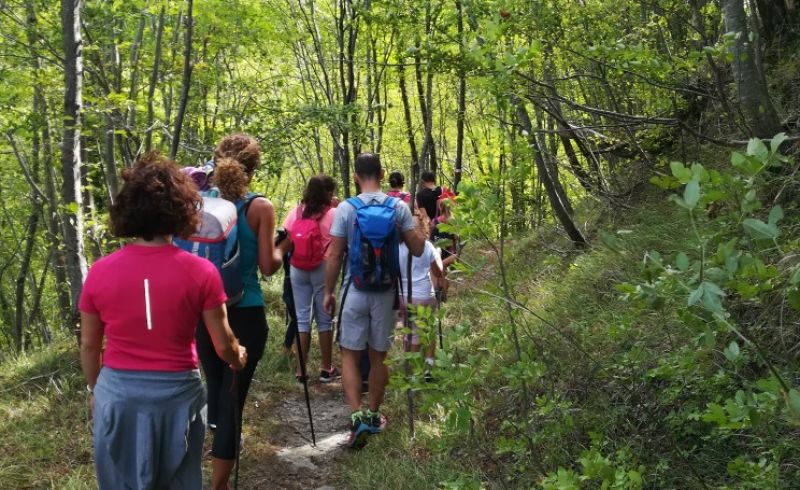 trekking fornello vicchio passeggiate (15)