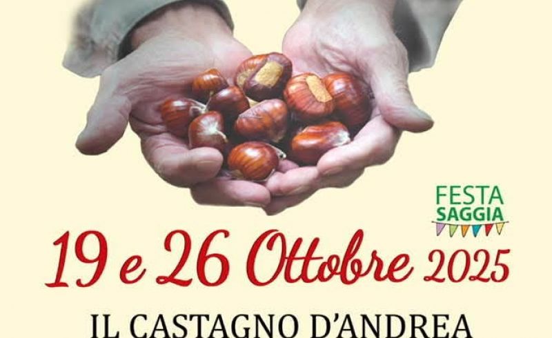 Ballottata 2025