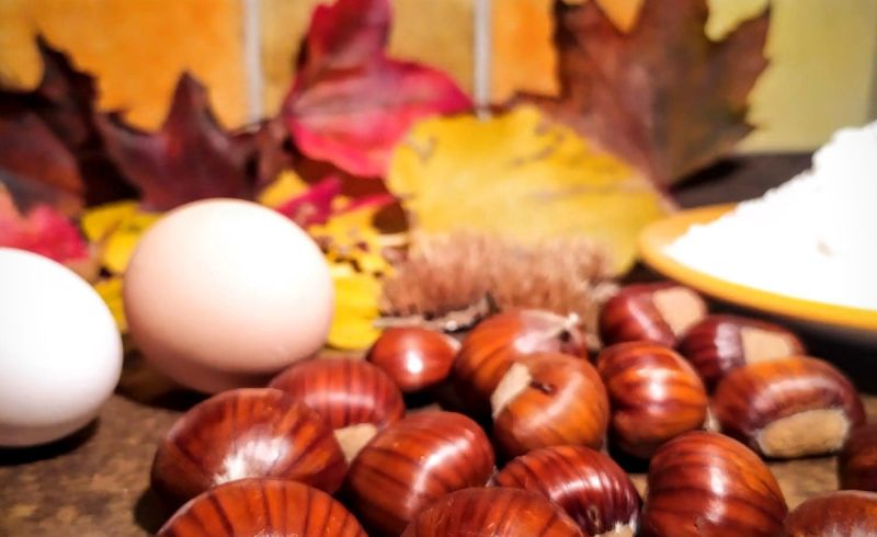ErbaCanta_Castagne1