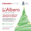 Albero
