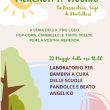 merenda