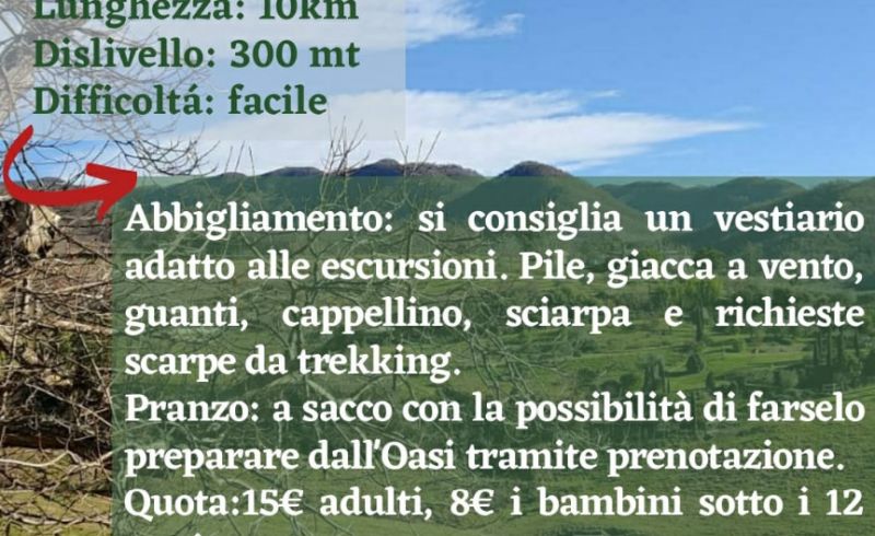 IMG-20220327-WA0013