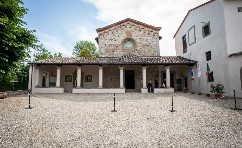Bosco ai Frati