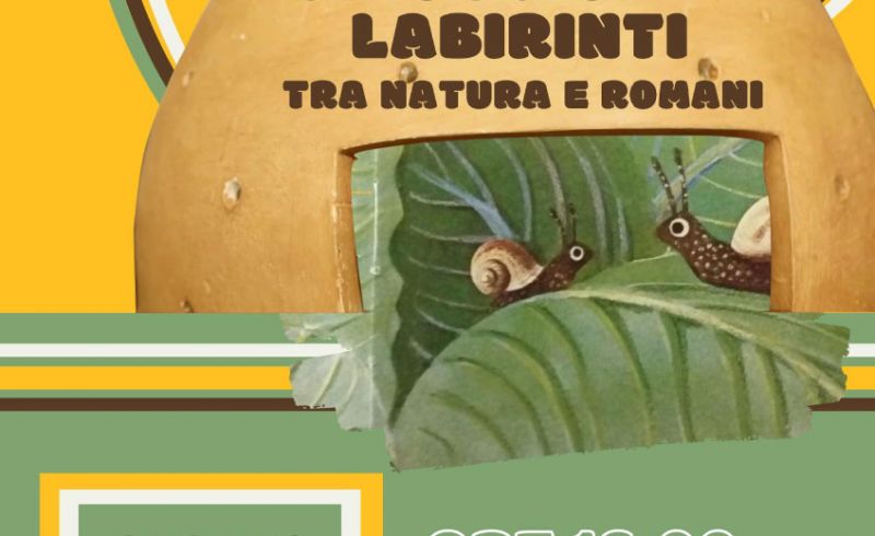 Laboratorio 15 Ottobre Chiocciole e labirinti