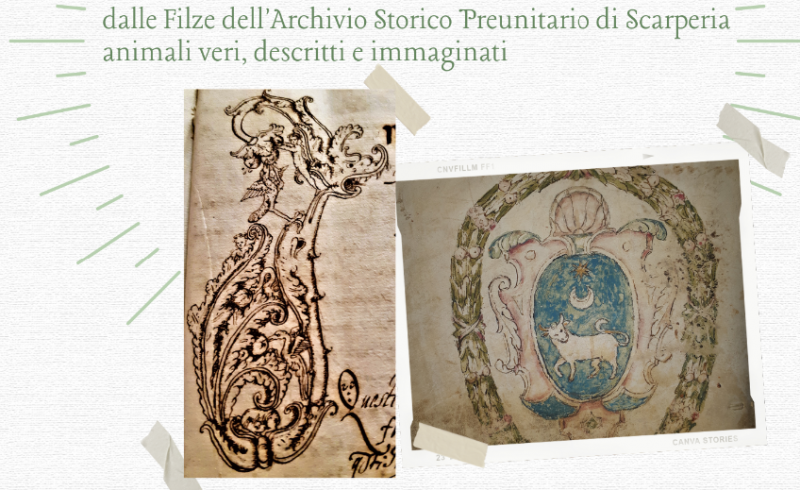 Locandina mostra Animali di Carta