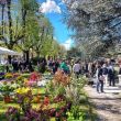 fiorinfiera 1