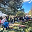 fiorinfiera 2
