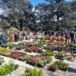 fiorinfiera 3