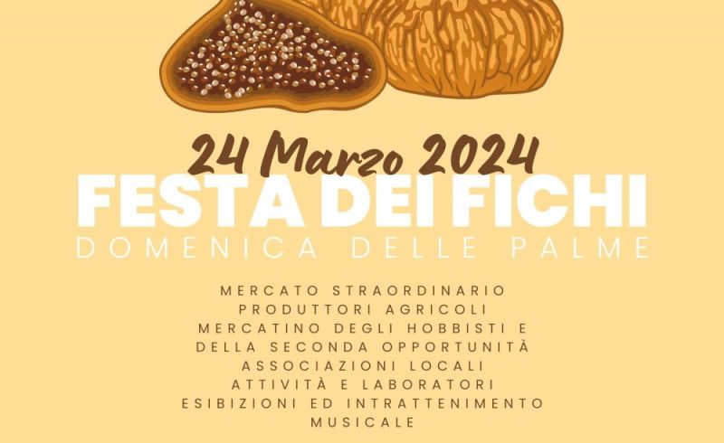 fichi 2024