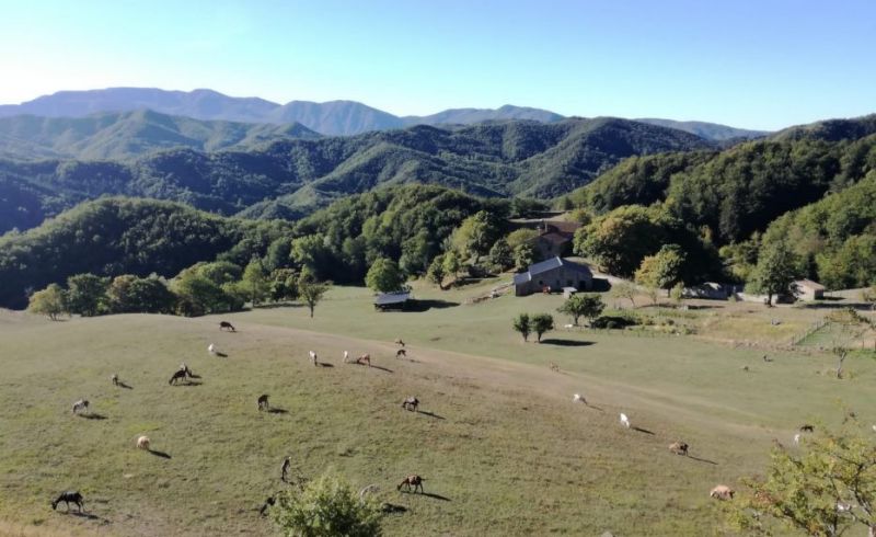 Eremo_di_Toschi-e1666058576752