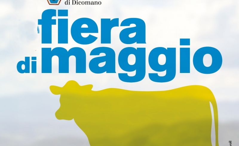 489655886_983442883919052_9163971069041744274_n