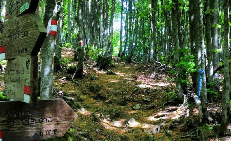 Idoli-Del-Casentino-1-e1593523249688