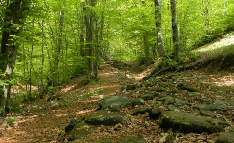 Strada romana Flaminia militare