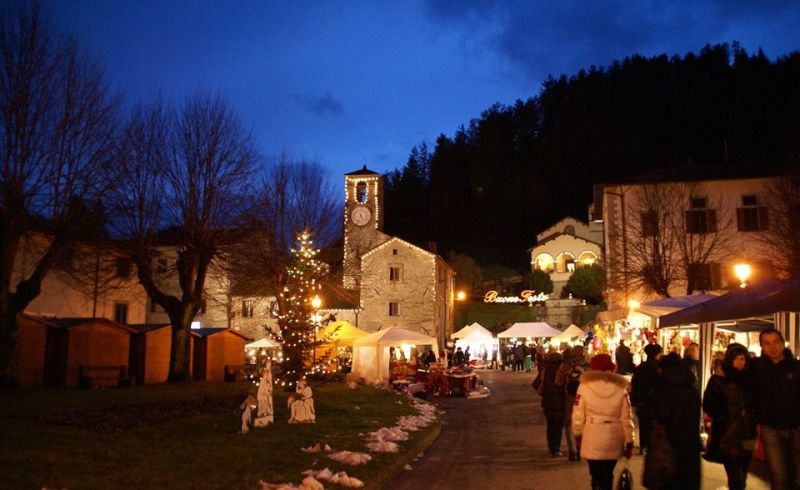 1460248_10201783243016414_16769926_n