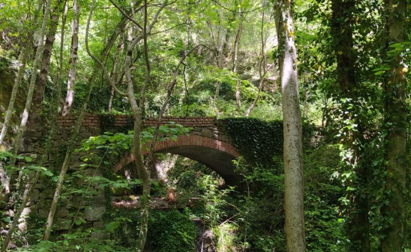 520bf0e9-44c9-4a36-ac36-71c2a59a3225