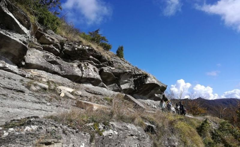 ErbaCanta_MonteBeni