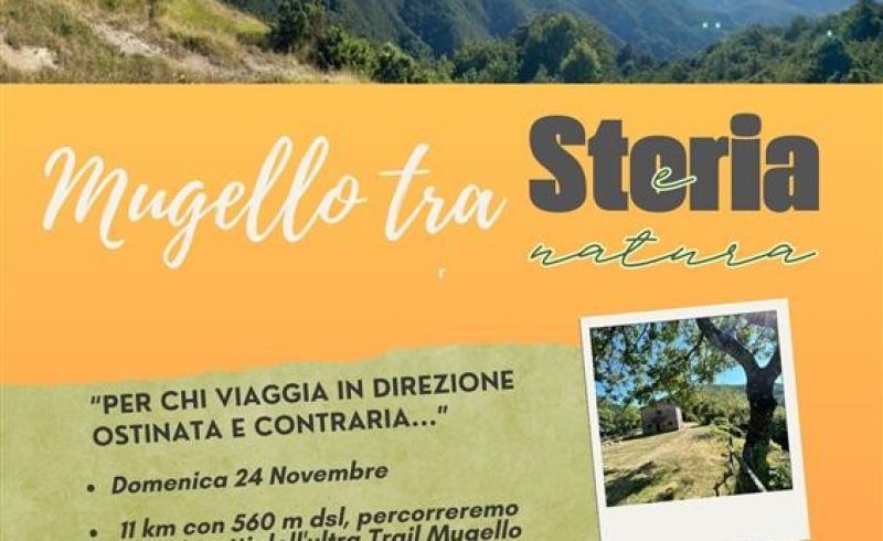 PHOTO-2024-11-19-13-31-51