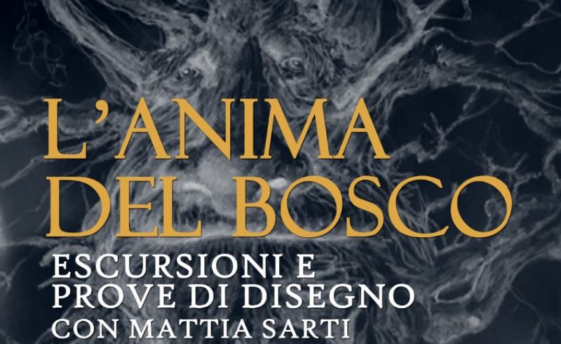 l'Anima del Bosco