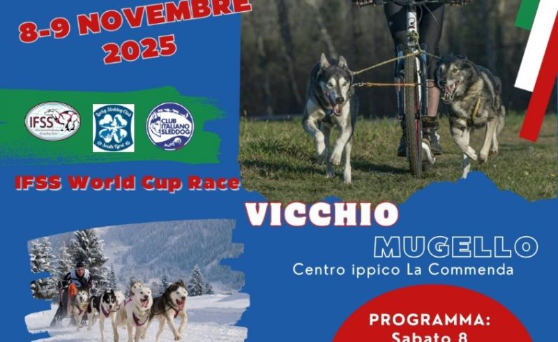 WhatsApp Image 2025-10-23 at 18.48.58