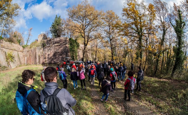 Foto_Ivan Poggi_Passeggiata 30 Novembre 2024 - porta nascosta