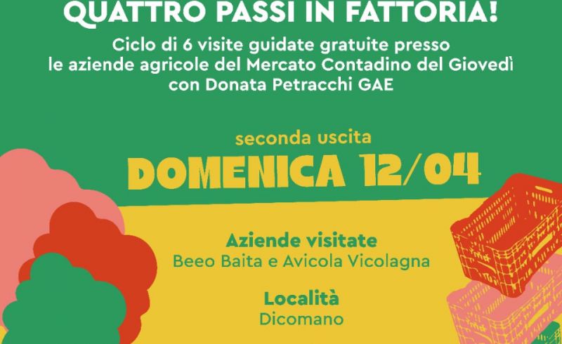 WhatsApp Image 2026-04-02 at 22.10.27