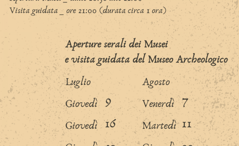 Social _ Archeo Night 