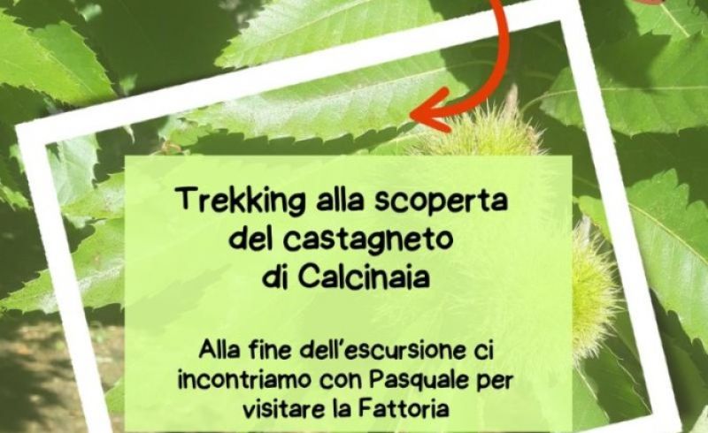 Trekking-domenica-11-Ottobre