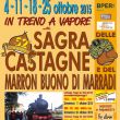 4th,11th,18th,25th/10 - 52th CHESTNUT FESTIVAL