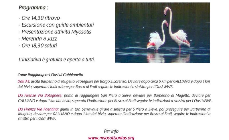 27th/09 - One day in Gabbianello Oasis by Myosotis Association
