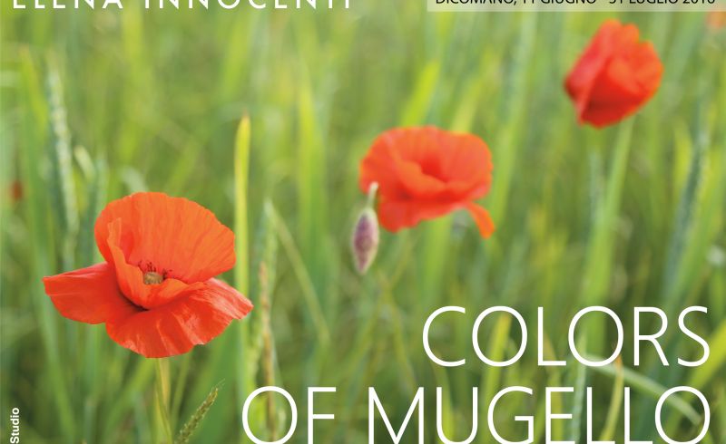 from 11th/06 till 31st/07 - COLORS OF MUGELLO photo exhibit