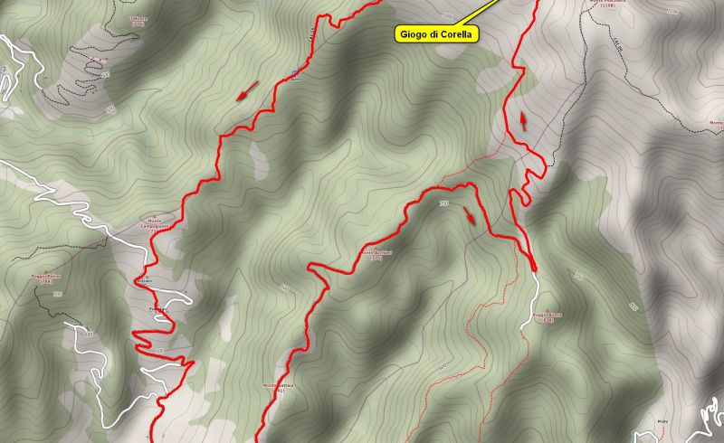 22nd/11- TREKKING TO CORELLA