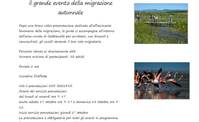 18th/10 - BIRDWATCHING AT OASIS GABBIANELLO