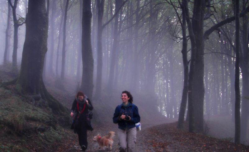 from 1st/12 to 6th/01 - MUGELLO TRAILS Photographic exhibition