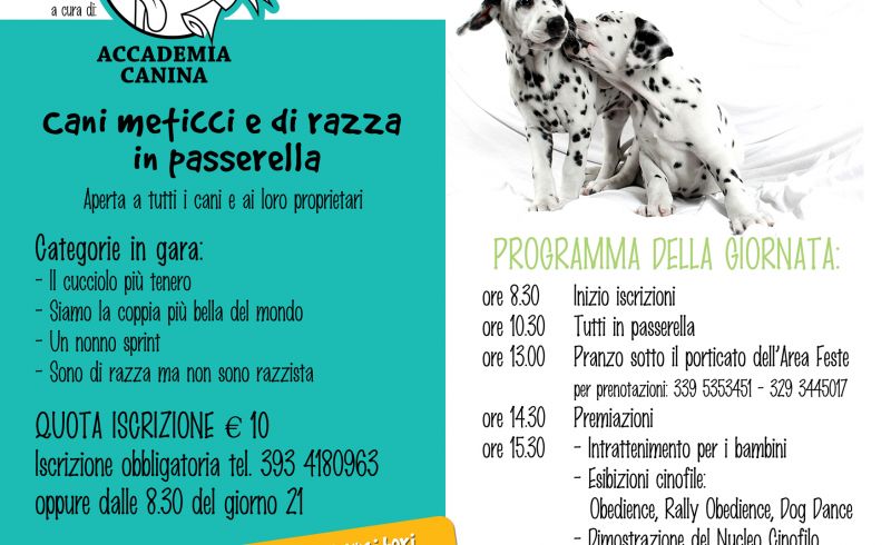 21st/04 - ANIMAL DAY 