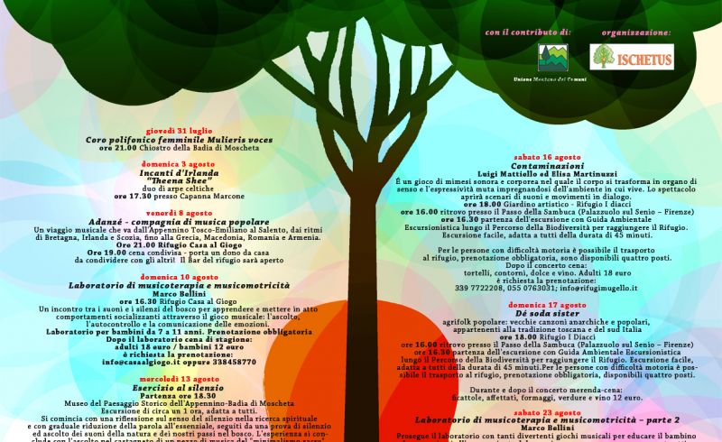 from 31st/07 till 30th/08 - THE WOOD IN MUSIC  2014