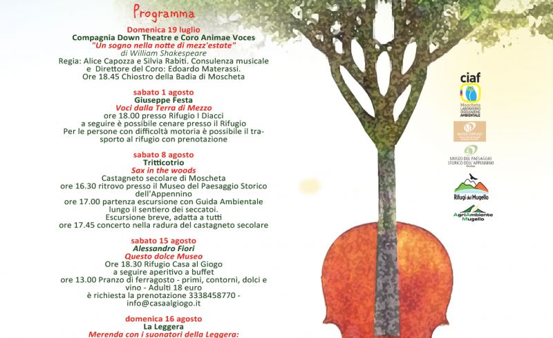 22nd/08 - WOOD IN MUSIC 