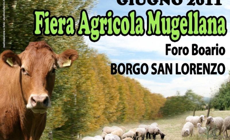 from June 9th to12th - MUGELLO FARM FAIR