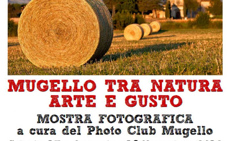 17th-18th/11 - PHOTO EXHIBITION 