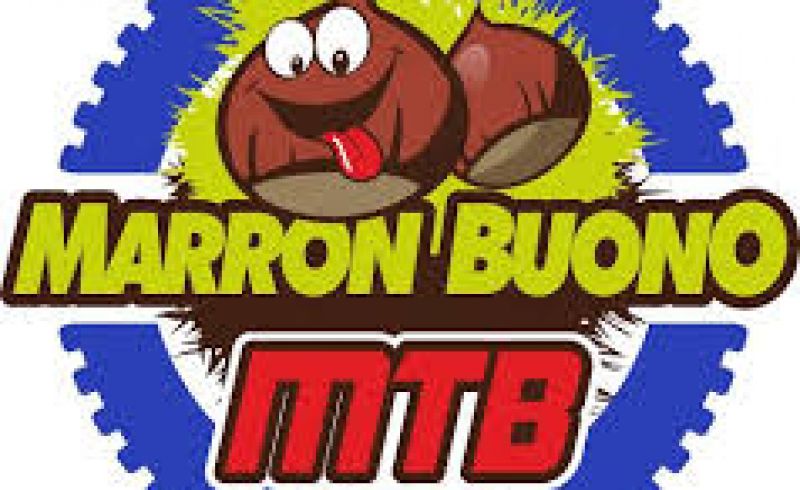 21th/06 - MARRON BUONO MOUNTAIN BIKE 