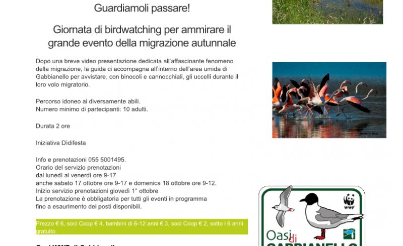18th/10 - BIRDWATCHING IN GABBIANELLO