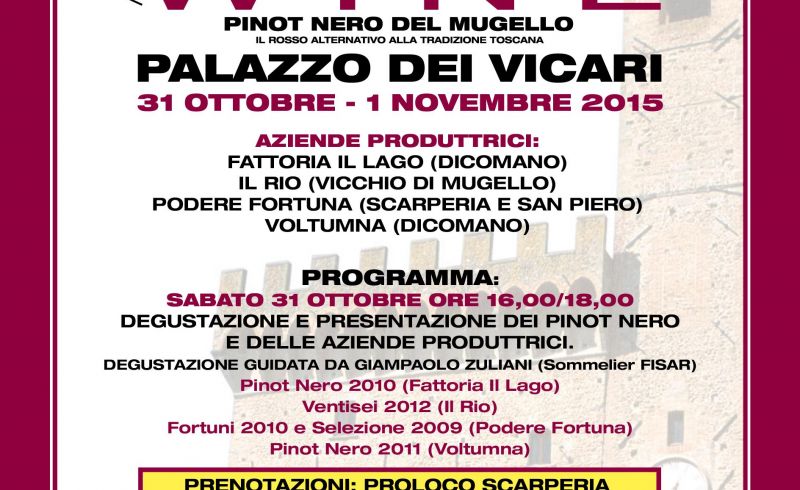 31st/10 and 1st/11 - SCARPERIA WINE