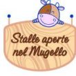 10th/05 - OPEN STABLES DAY IN MUGELLO AND SPRING FESTIVAL