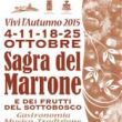 4th, 11th, 18th and 25th/10 - MARRONE AND PRODUCTS OF THE WOODS FESTIVAL